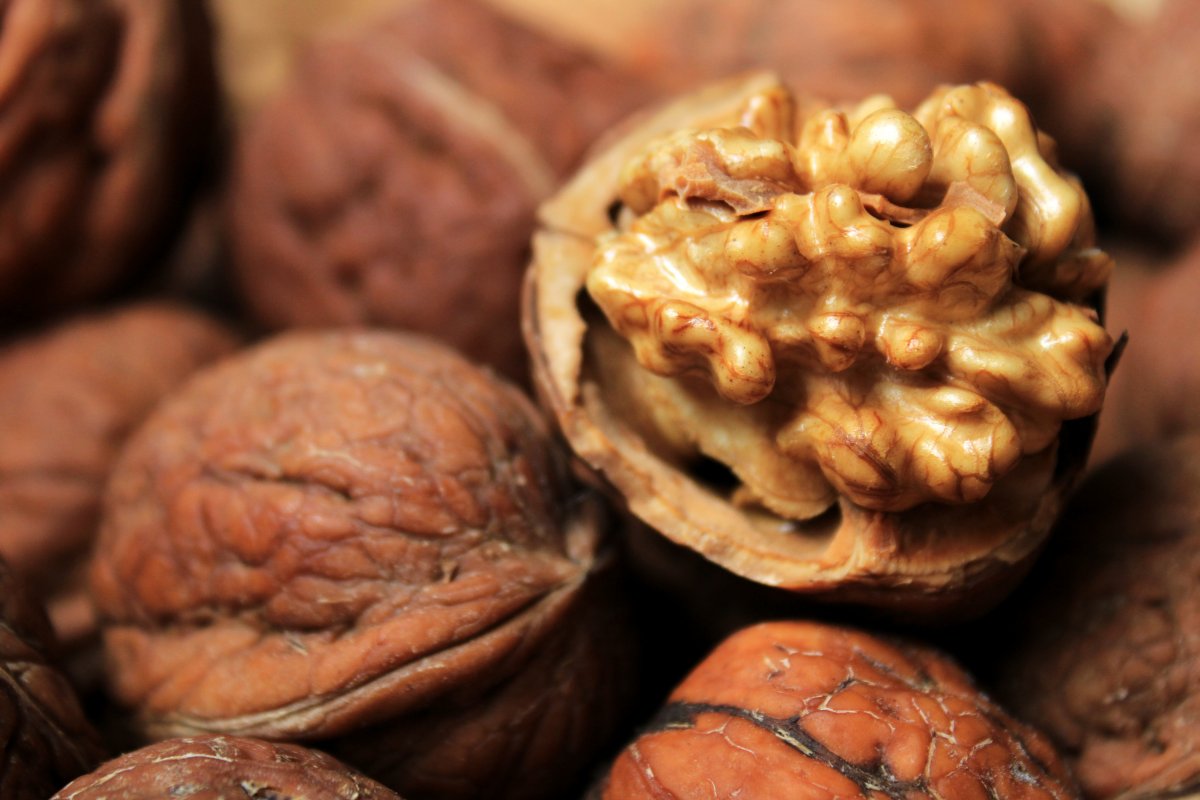 饱满核桃摄影图片,高清图片