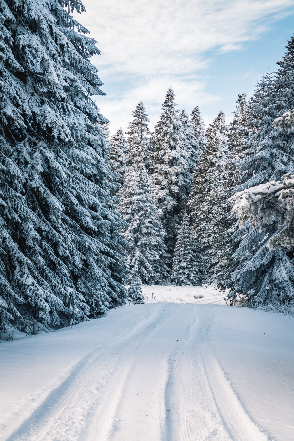 冬天的雪景图片,高清图片