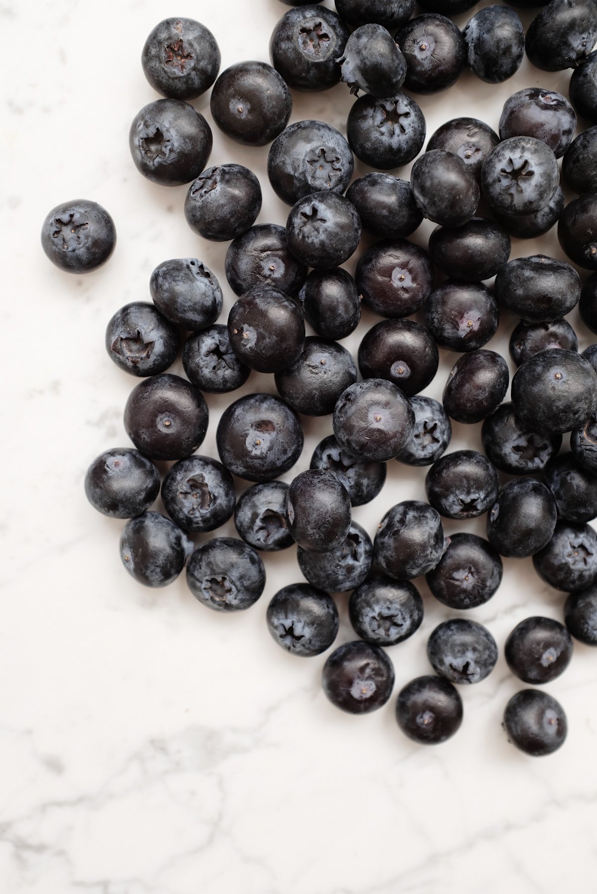 小浆果蓝莓图片