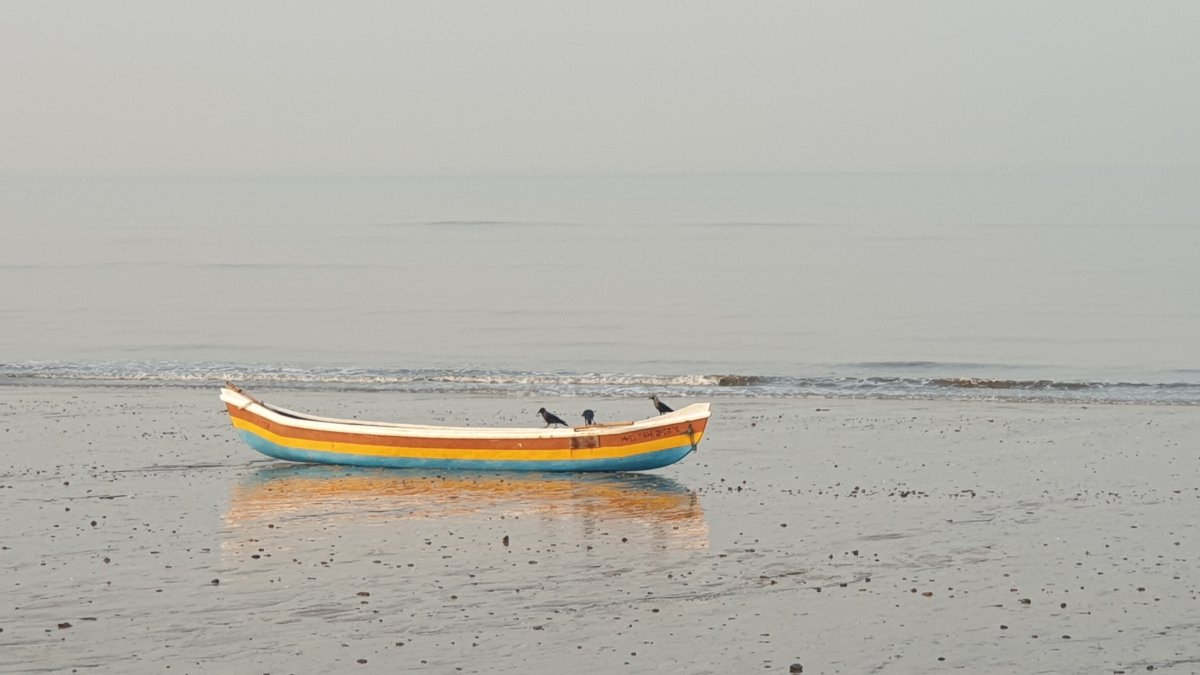 海岸小船圖片