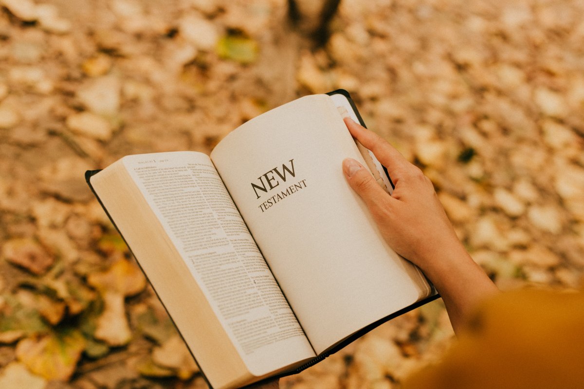 看英文书的图片