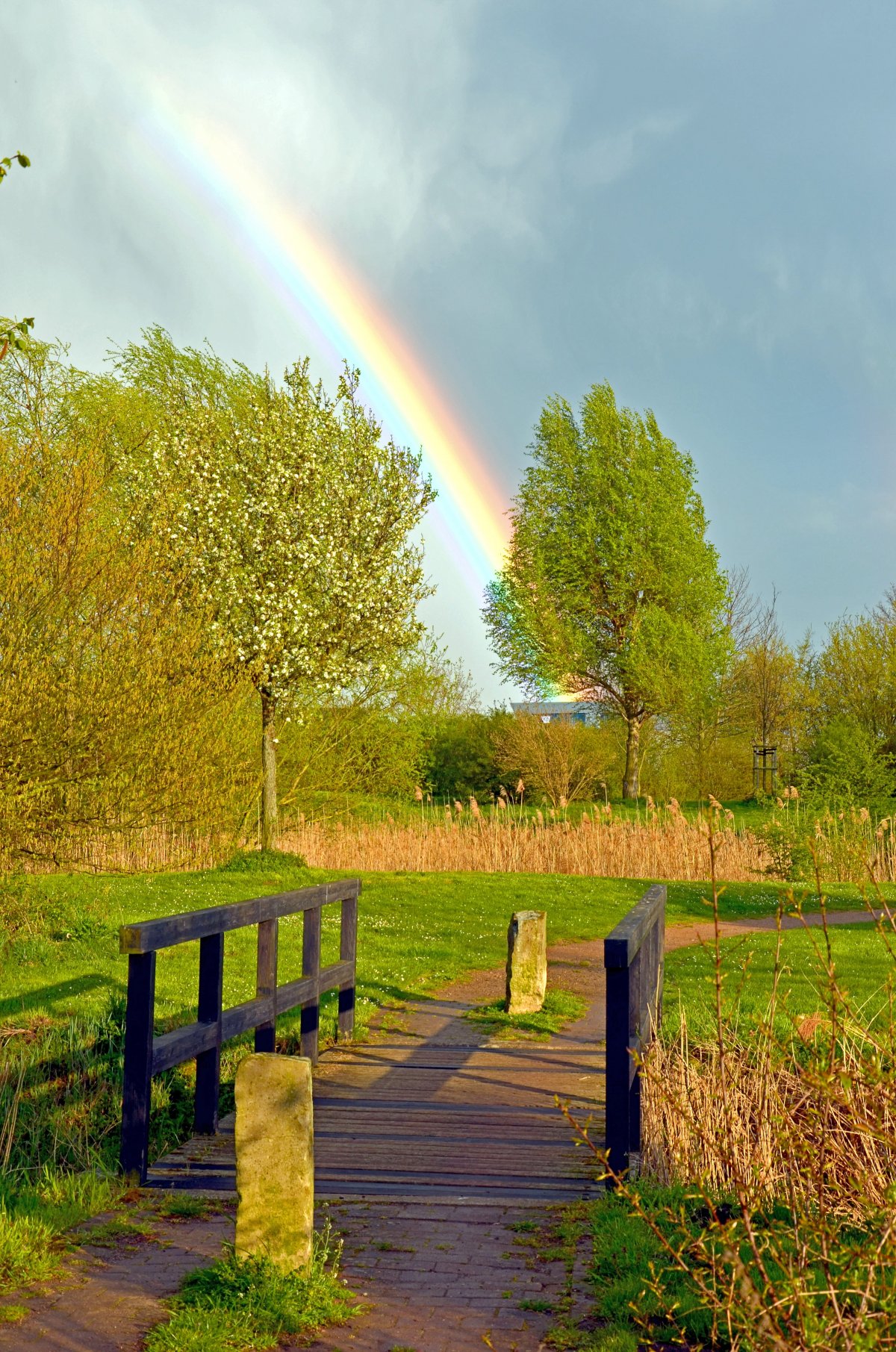 彩虹图片自然风景微信图片
