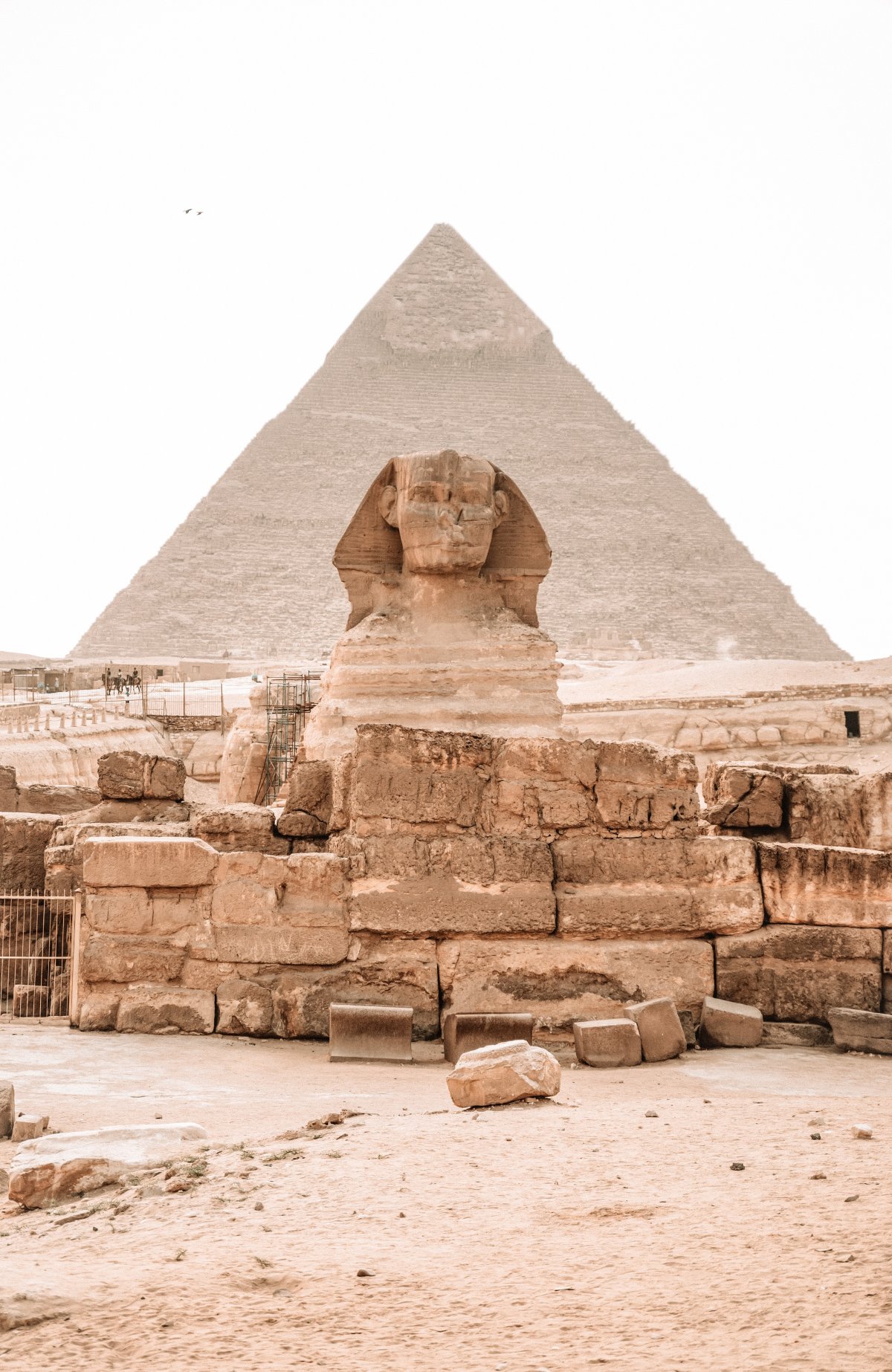 埃及金字塔人面兽身图片