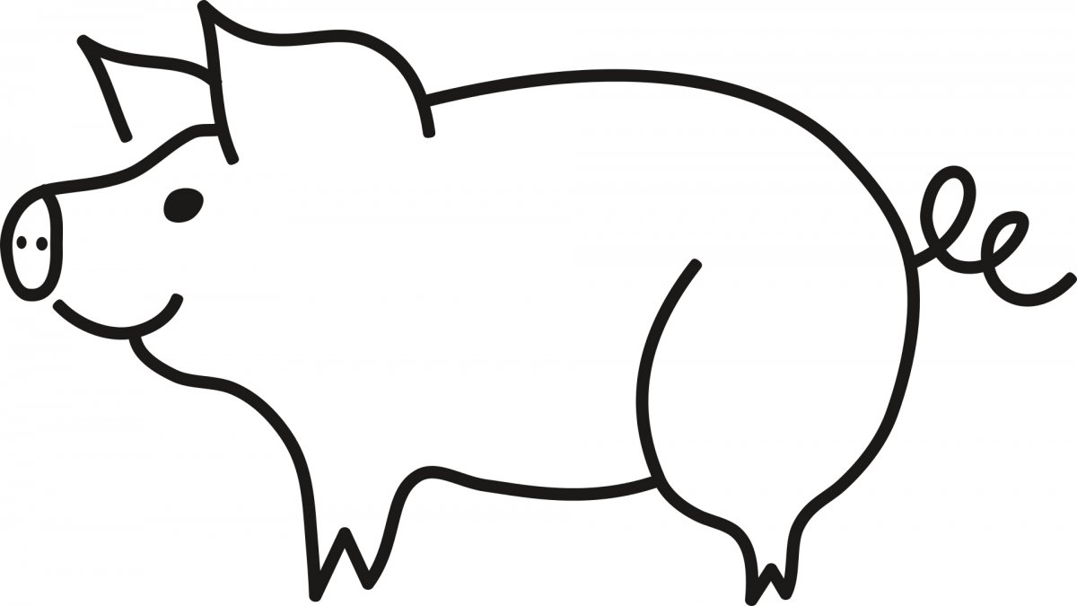 猪的简化画法图片