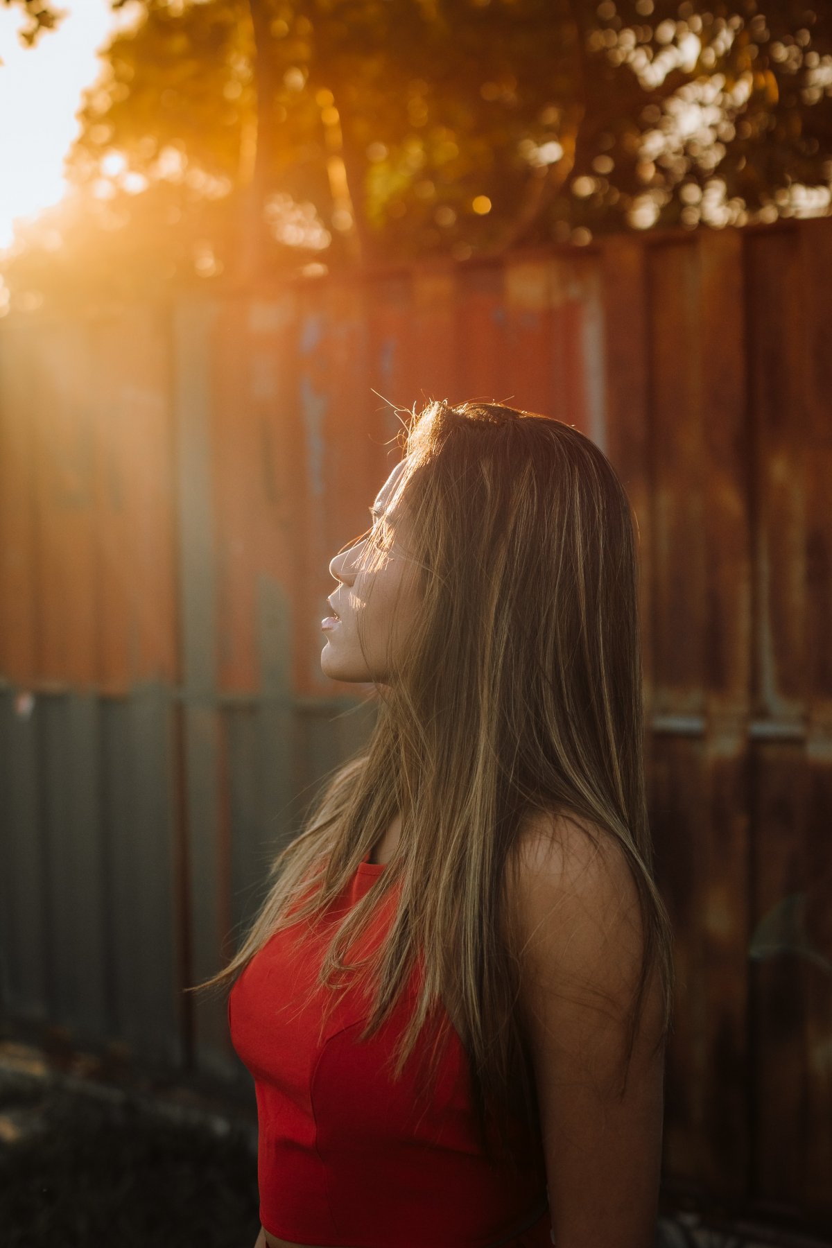 的阳光下的美女侧颜图片,光下,美女,侧颜,图片,标签:侧脸侧颜特别声明