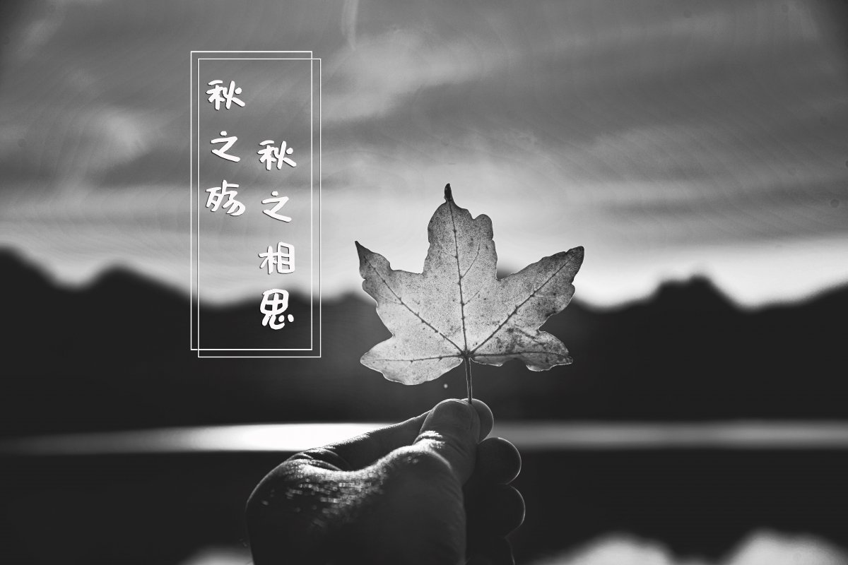 秋殇黑白文字图片