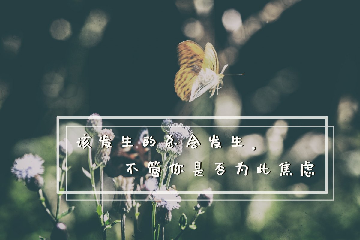 生活文字语录图片