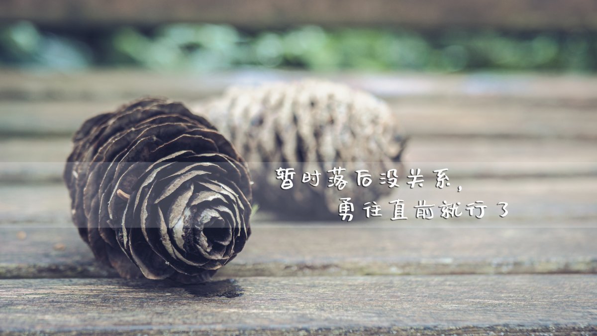 生活文字图片,励志,生活,文字,图片,标签:生活语录励志文字特别声明