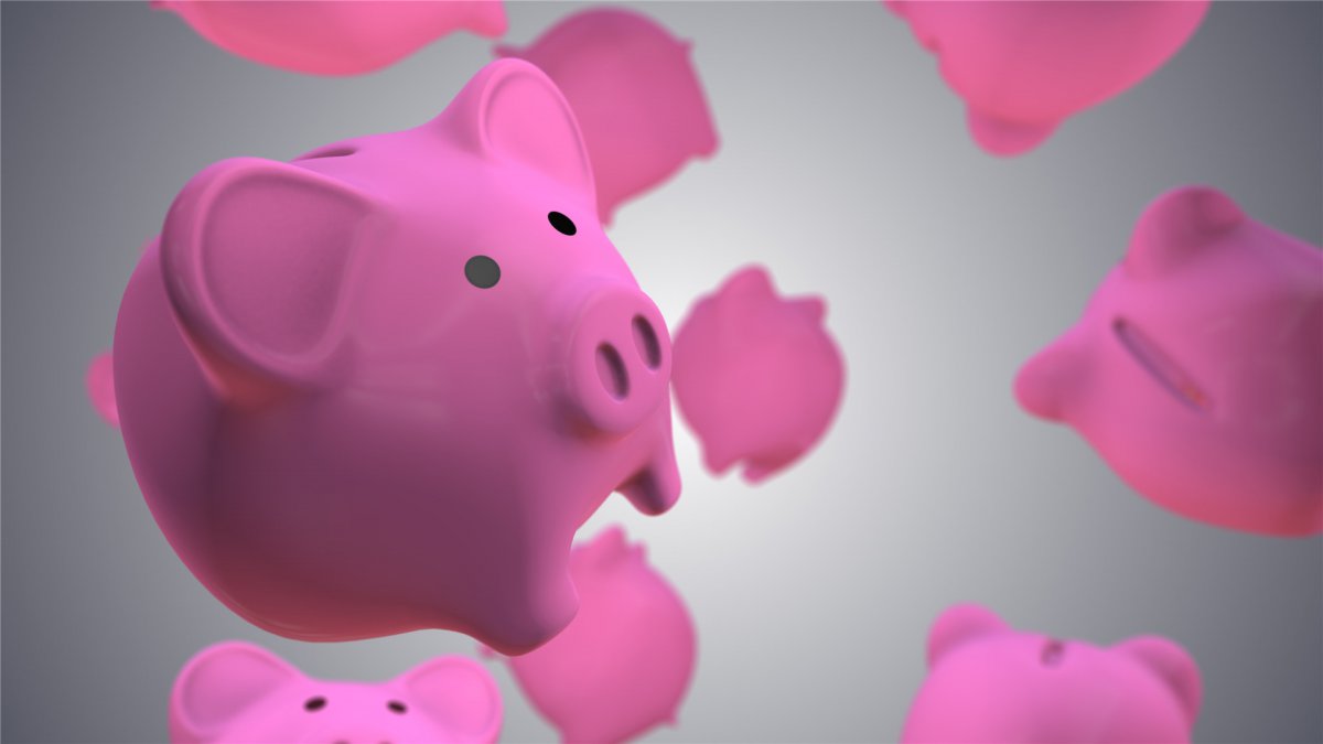 猪 猪图片 高清猪图片