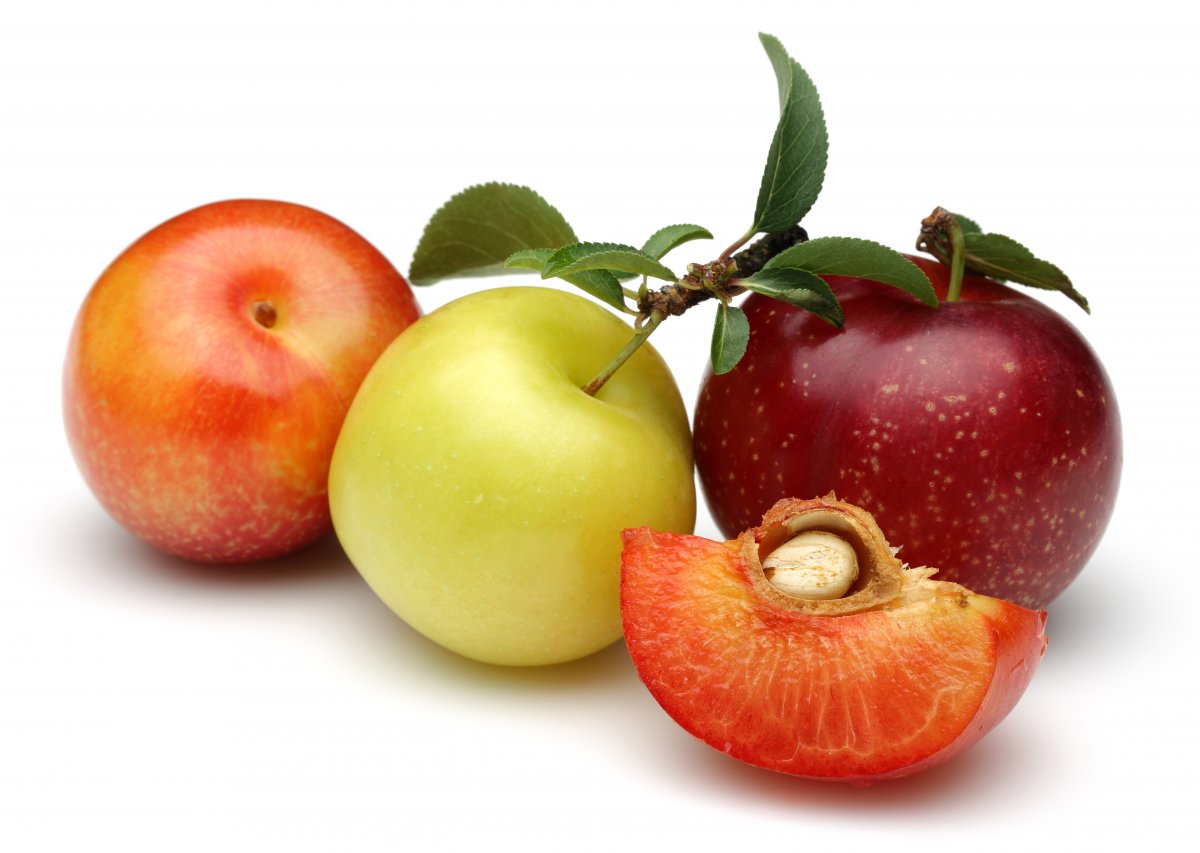 草莓和樱桃图片