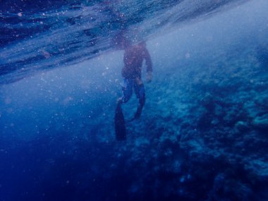 自由潜水的潜水爱好者图片