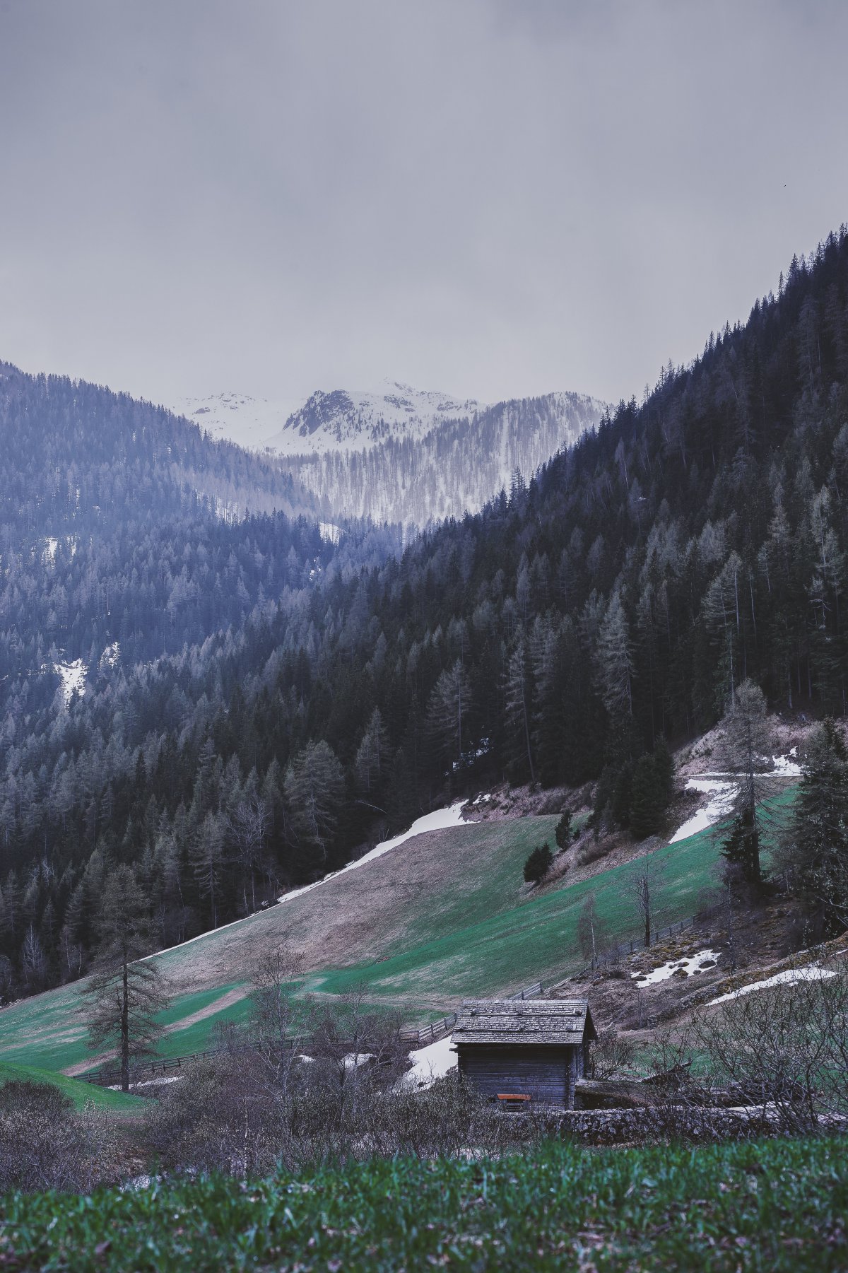 山脚下的房屋图片