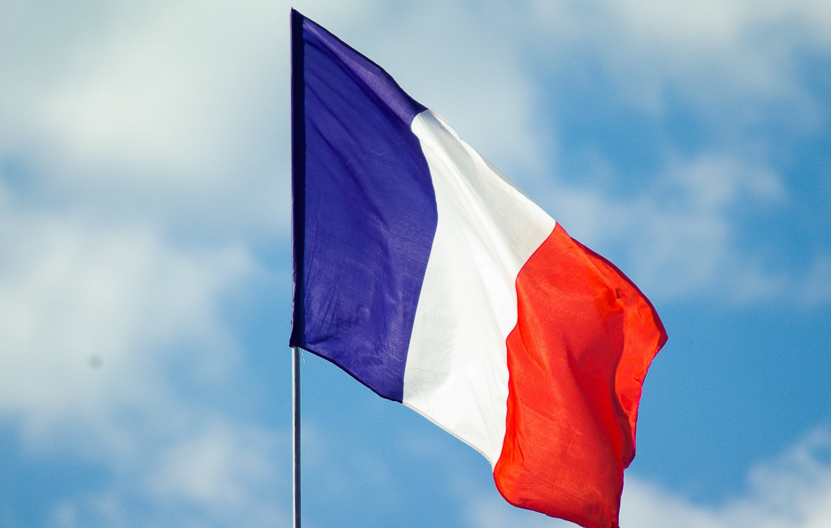 束棒斧头 法国国旗图片