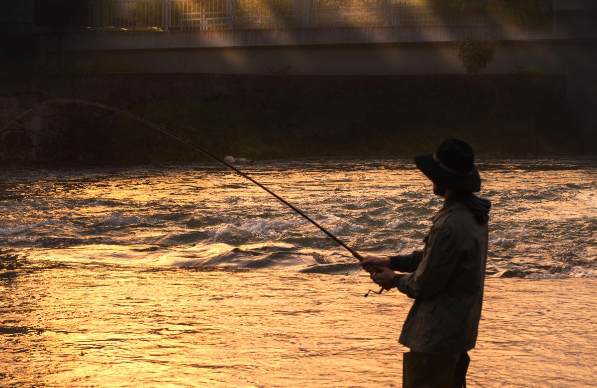 正在钓鱼的男子图片