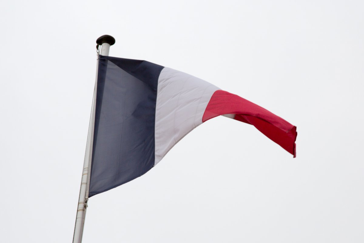 束棒斧头 法国国旗图片