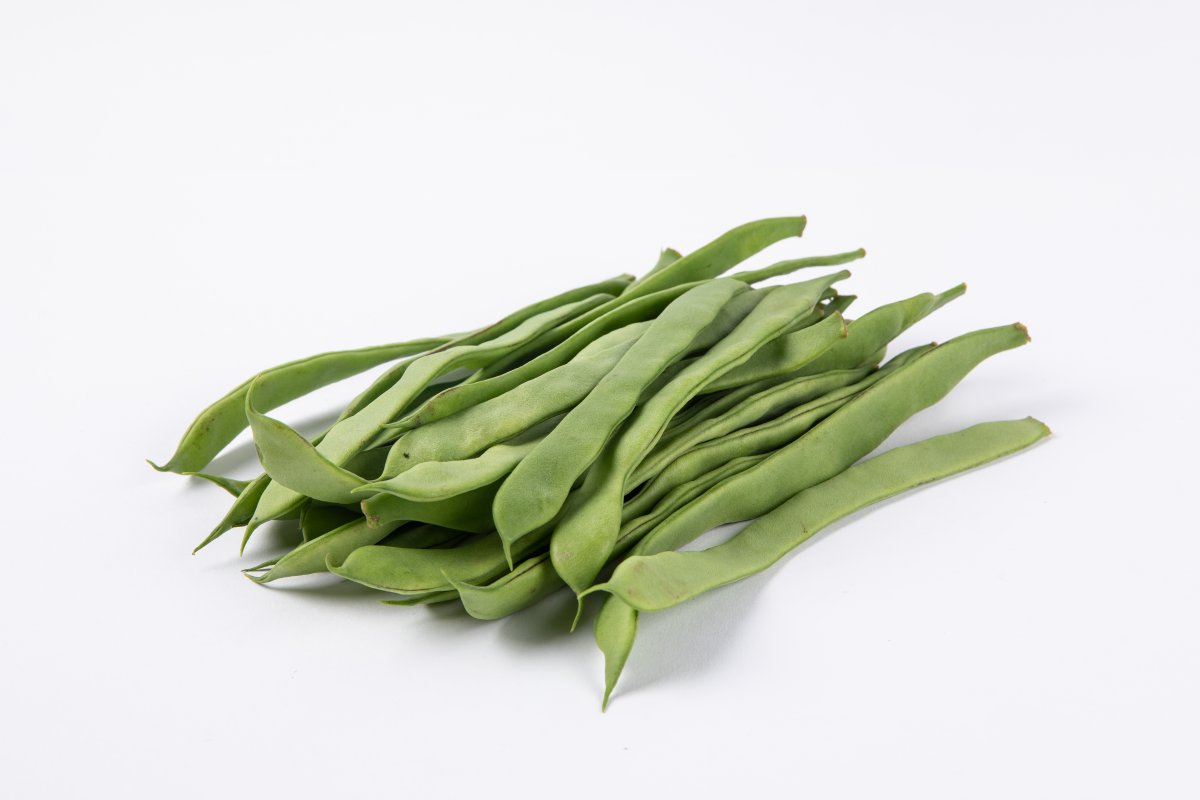 图片大全四季豆图片图片大全四季景观椰子树图片图片大全四季凤仙花