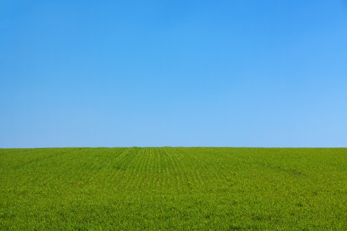 青青草地_3840X2160_高清视频素材下载(编号:9423649)_实拍视频_光厂(VJ师网) www.vjshi.com