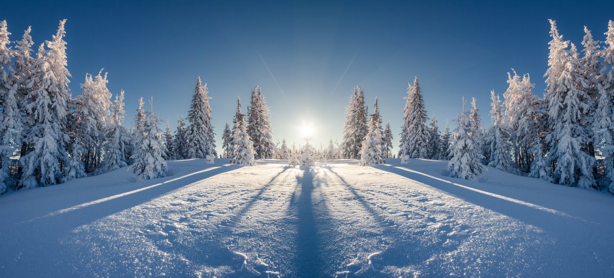 北方山林雪景圖片