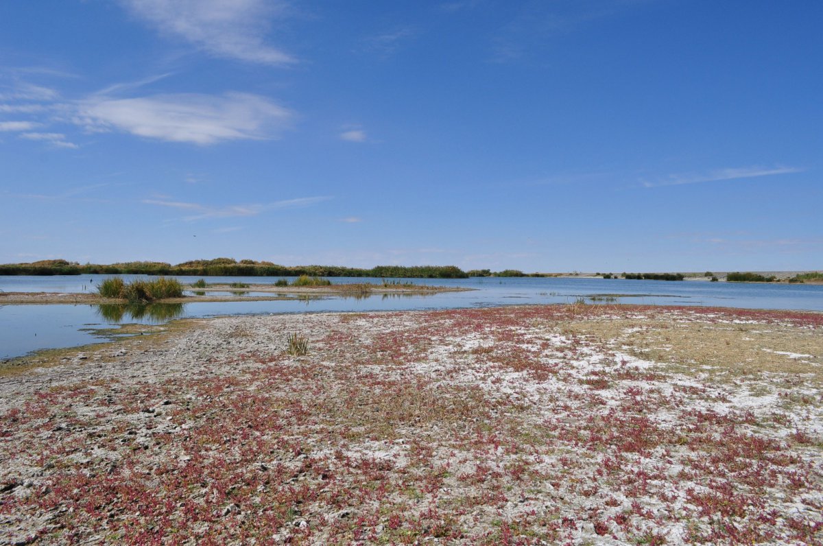 新疆东道海子风景图片