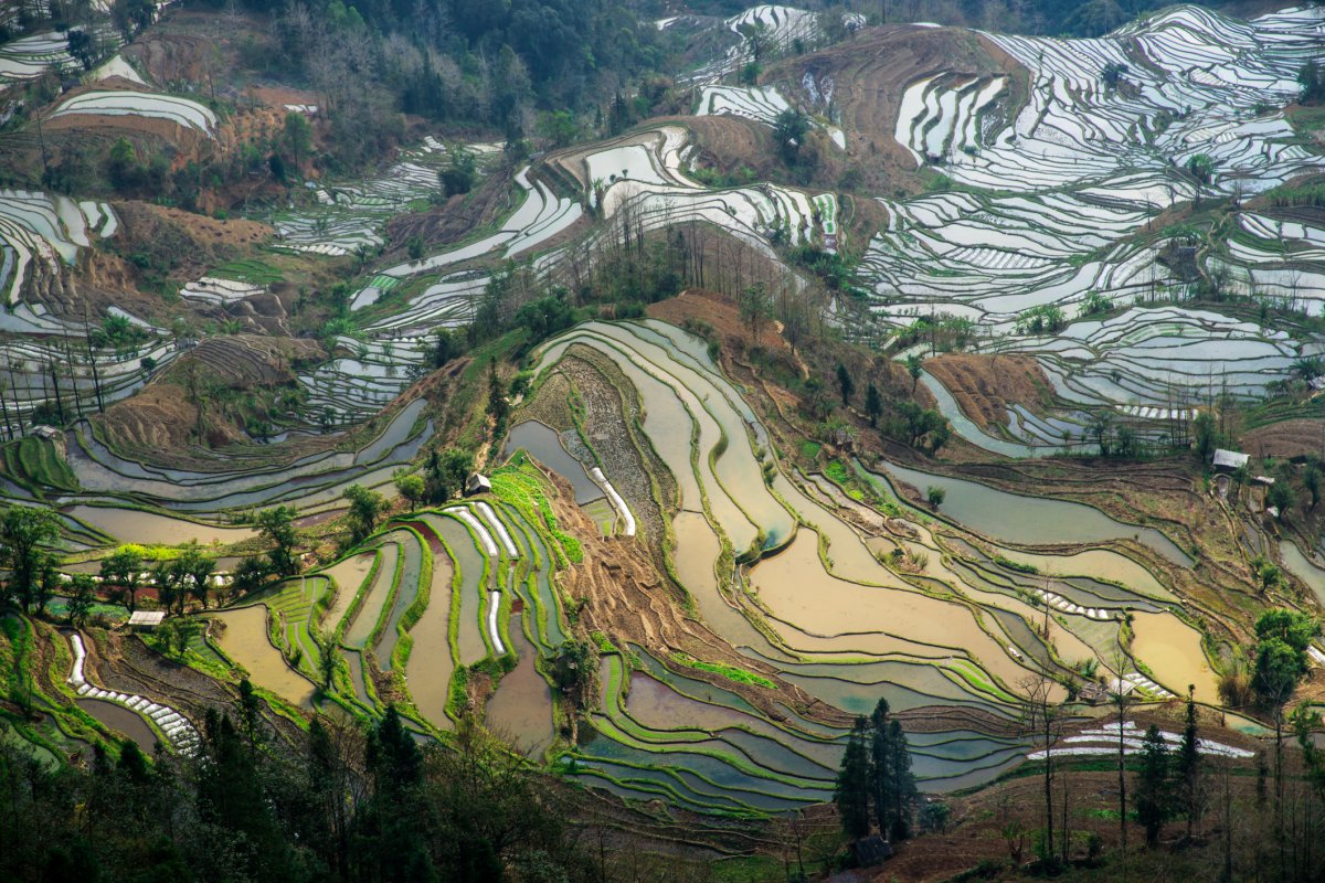 雲南元陽梯田風景圖片,高清圖片