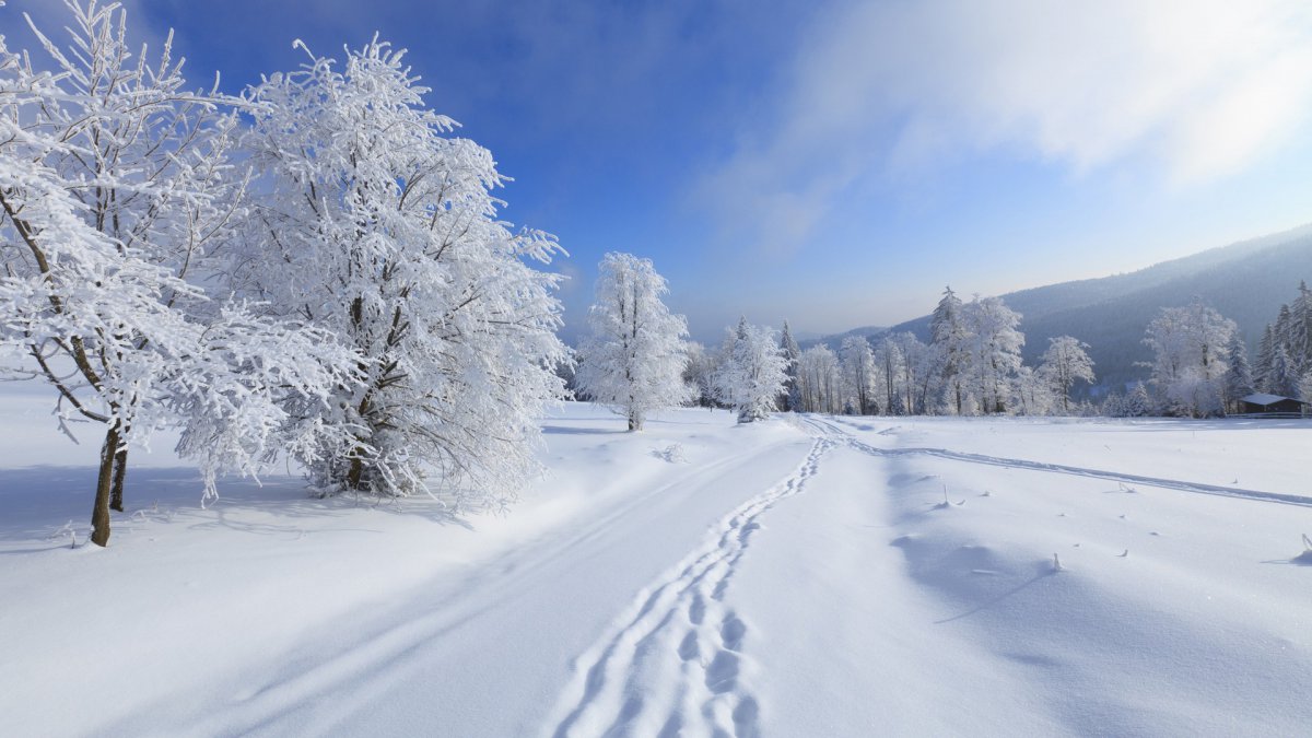 大雪紛飛的冬季美景圖片