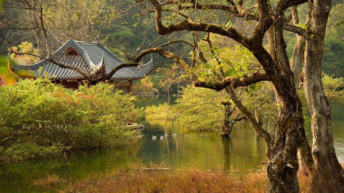 廣西桂林逍遙湖風景圖片