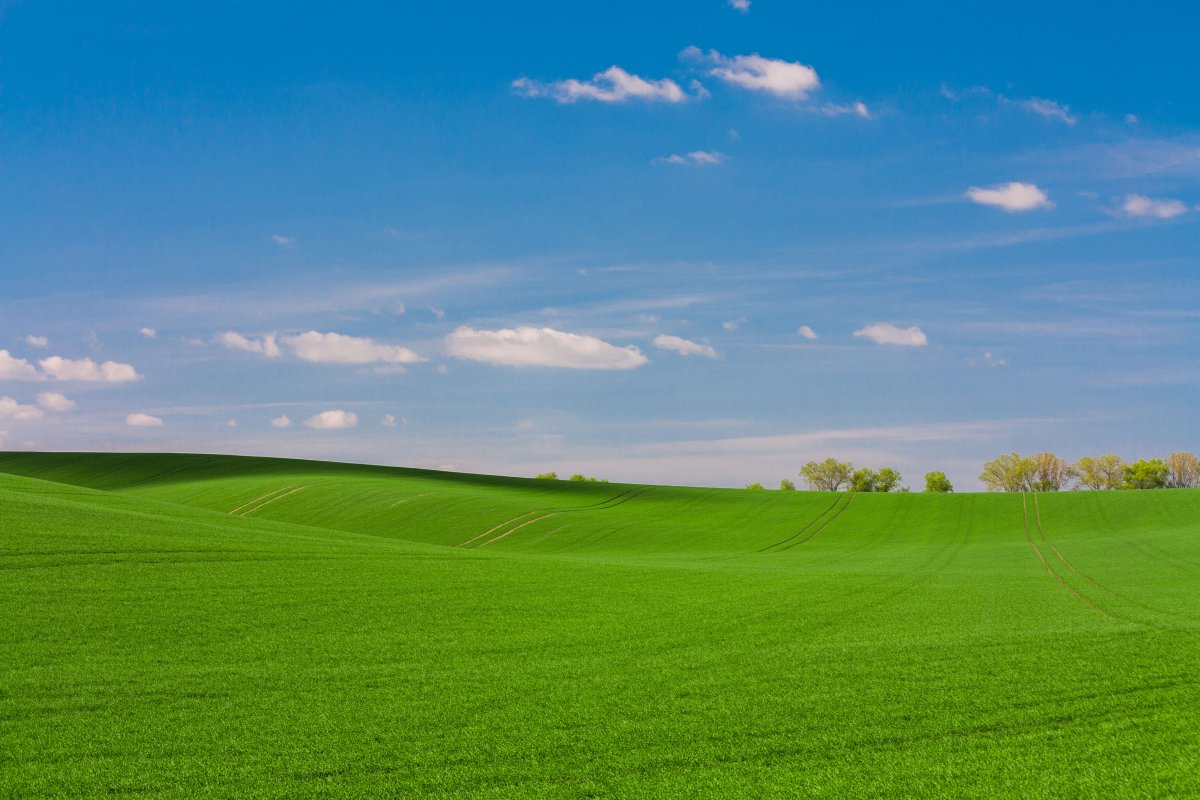 蓝天白云下绿色辽阔的草原风景图片,高清图片