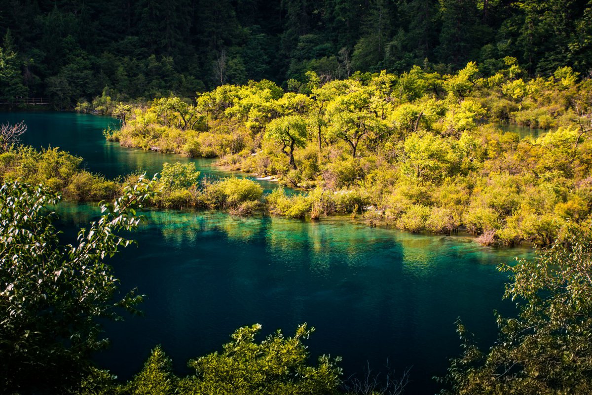 四川九寨溝樹正溝風景圖片