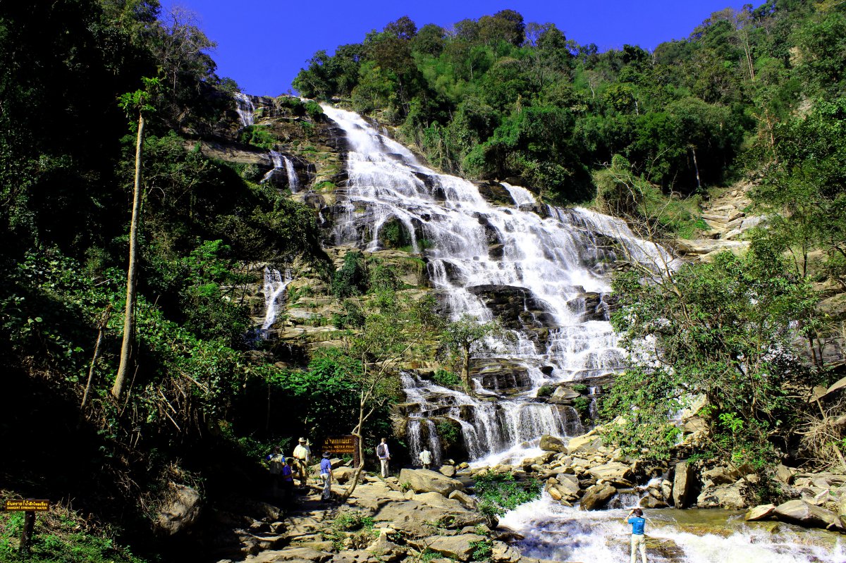 森林里飞流而下的瀑布风景图片