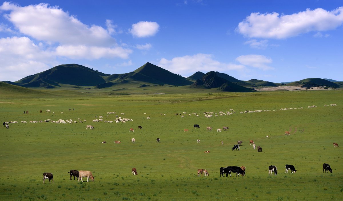 内蒙古风景图片大全图片