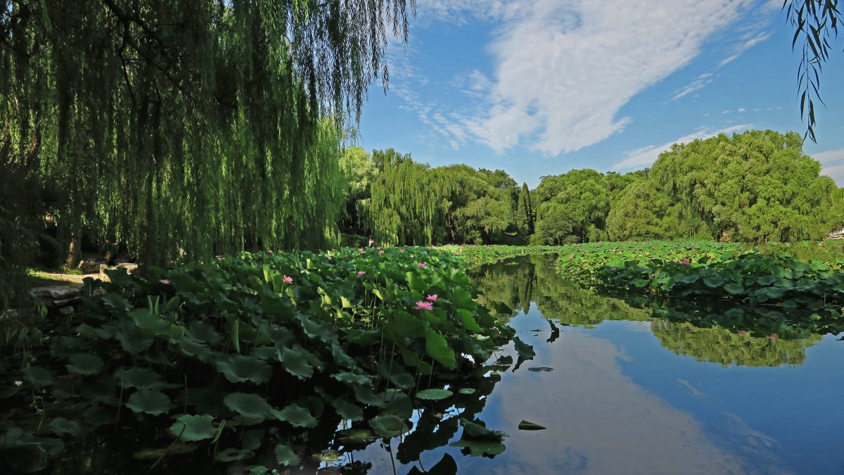 北京紫竹院公園風景圖片