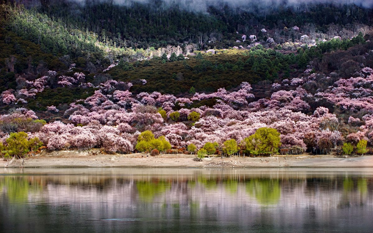 西藏林芝风景图片