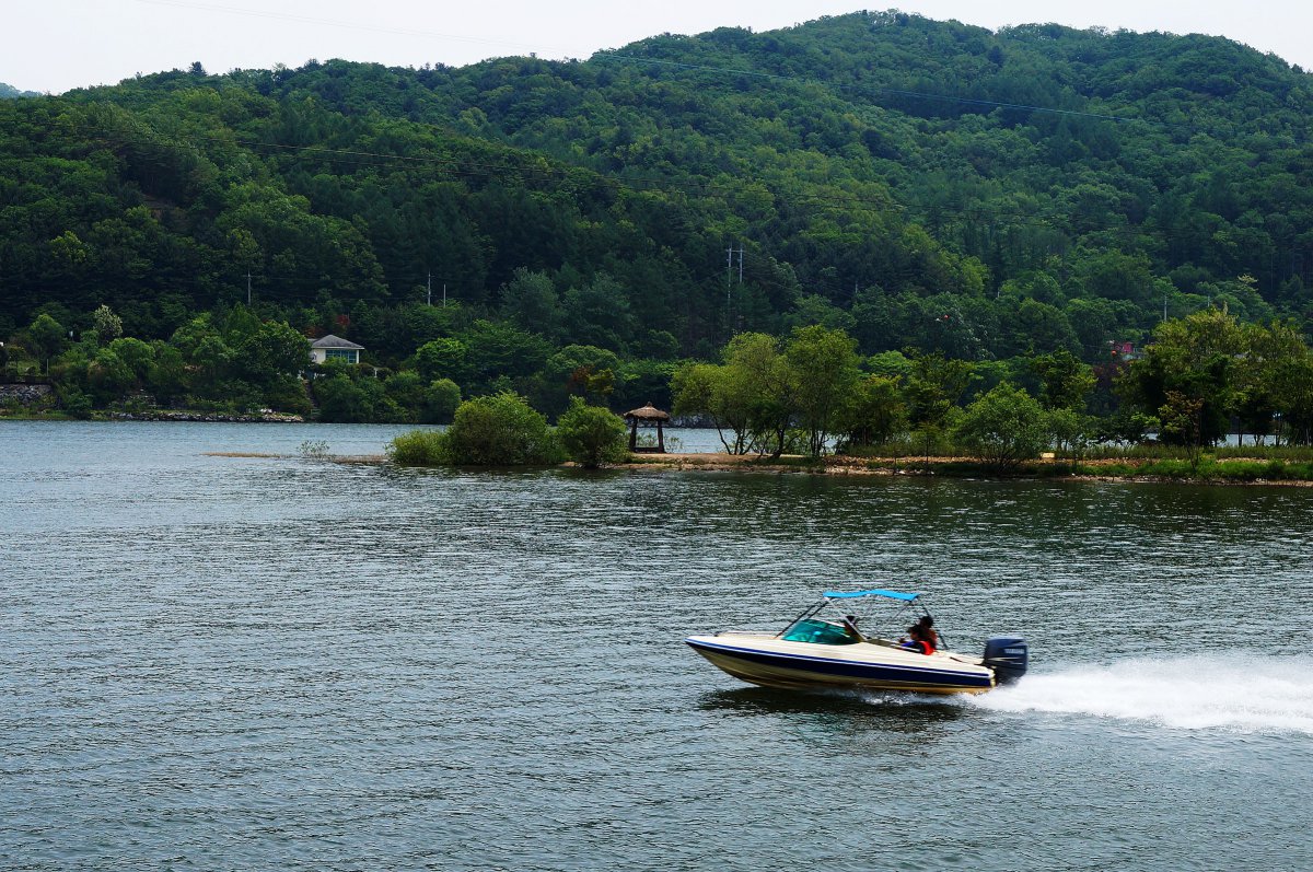 韩国南怡岛风景图片