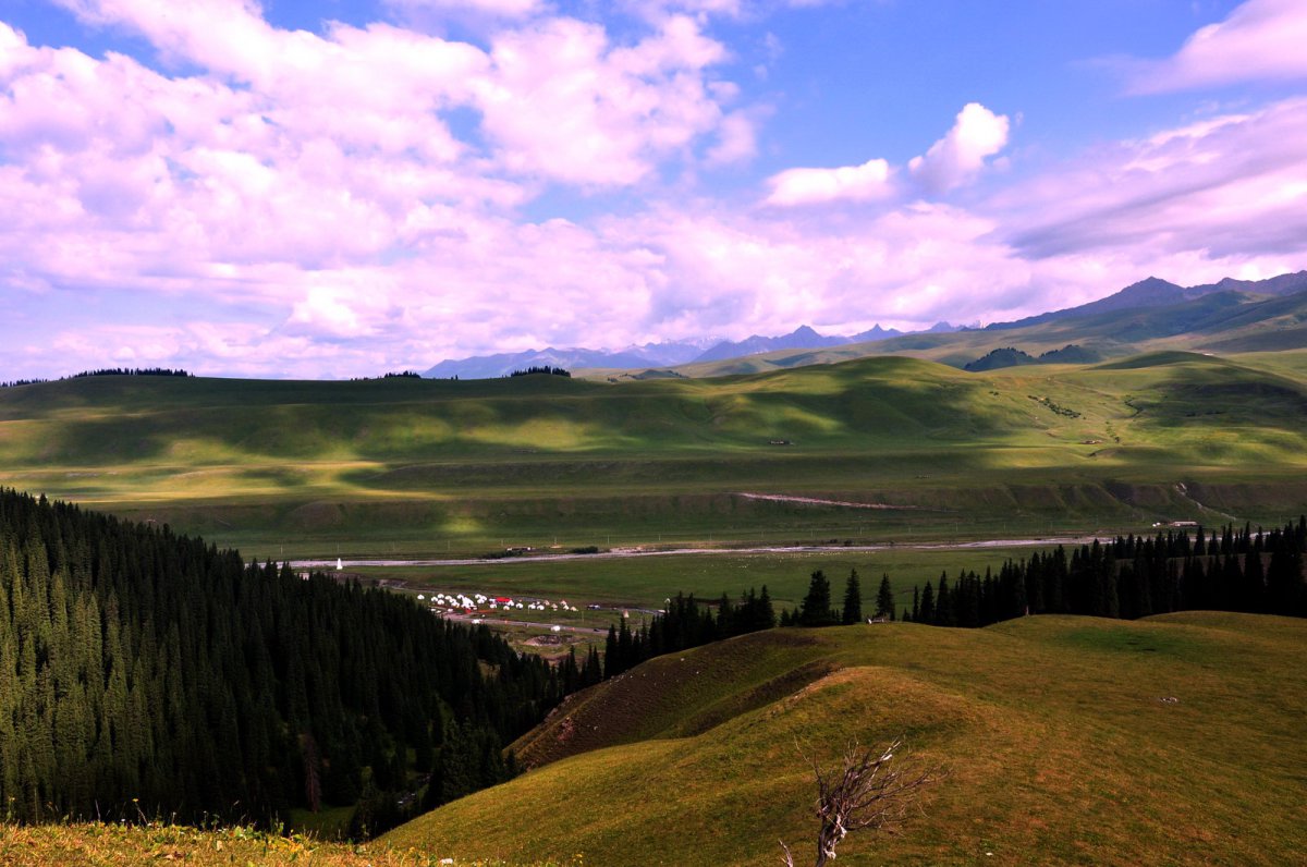 新疆伊犁 高清照片图片
