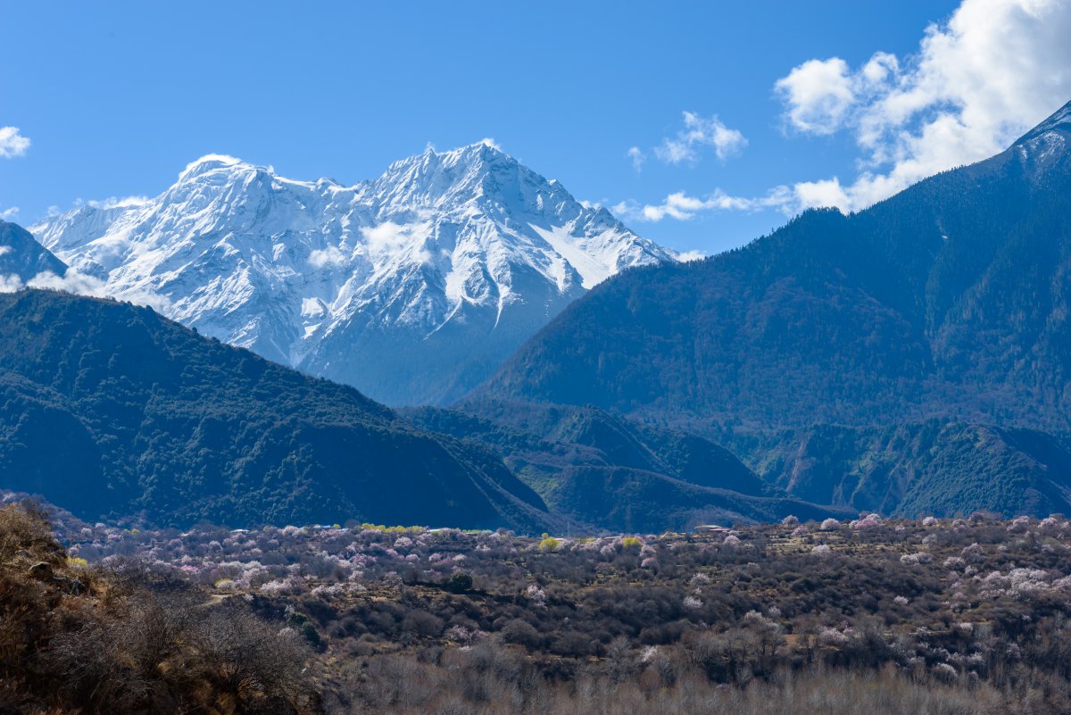 西藏林芝巍峨雪山风景图片