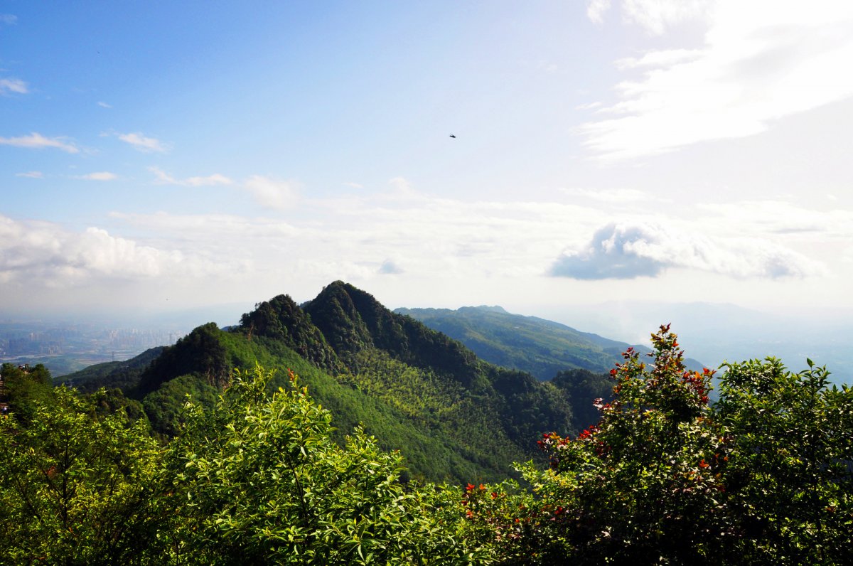 茶山竹海多大图片