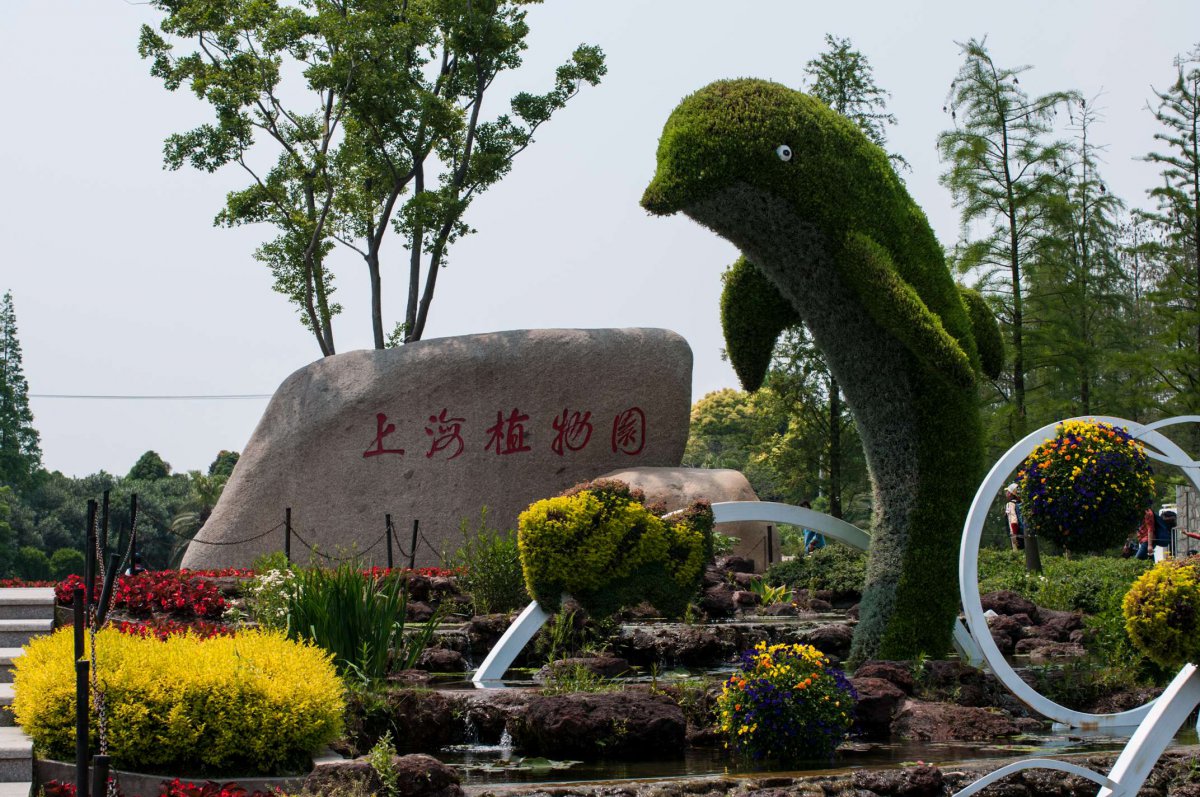 上海植物园风景图片