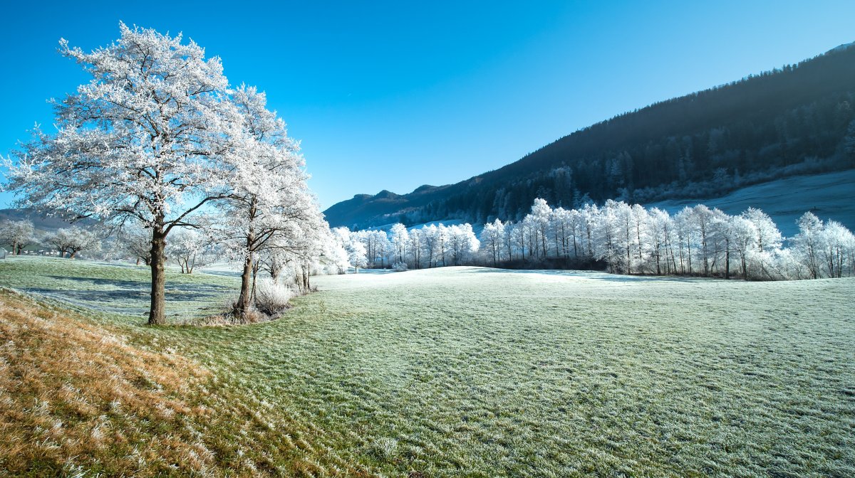 冬天的景色简单图片