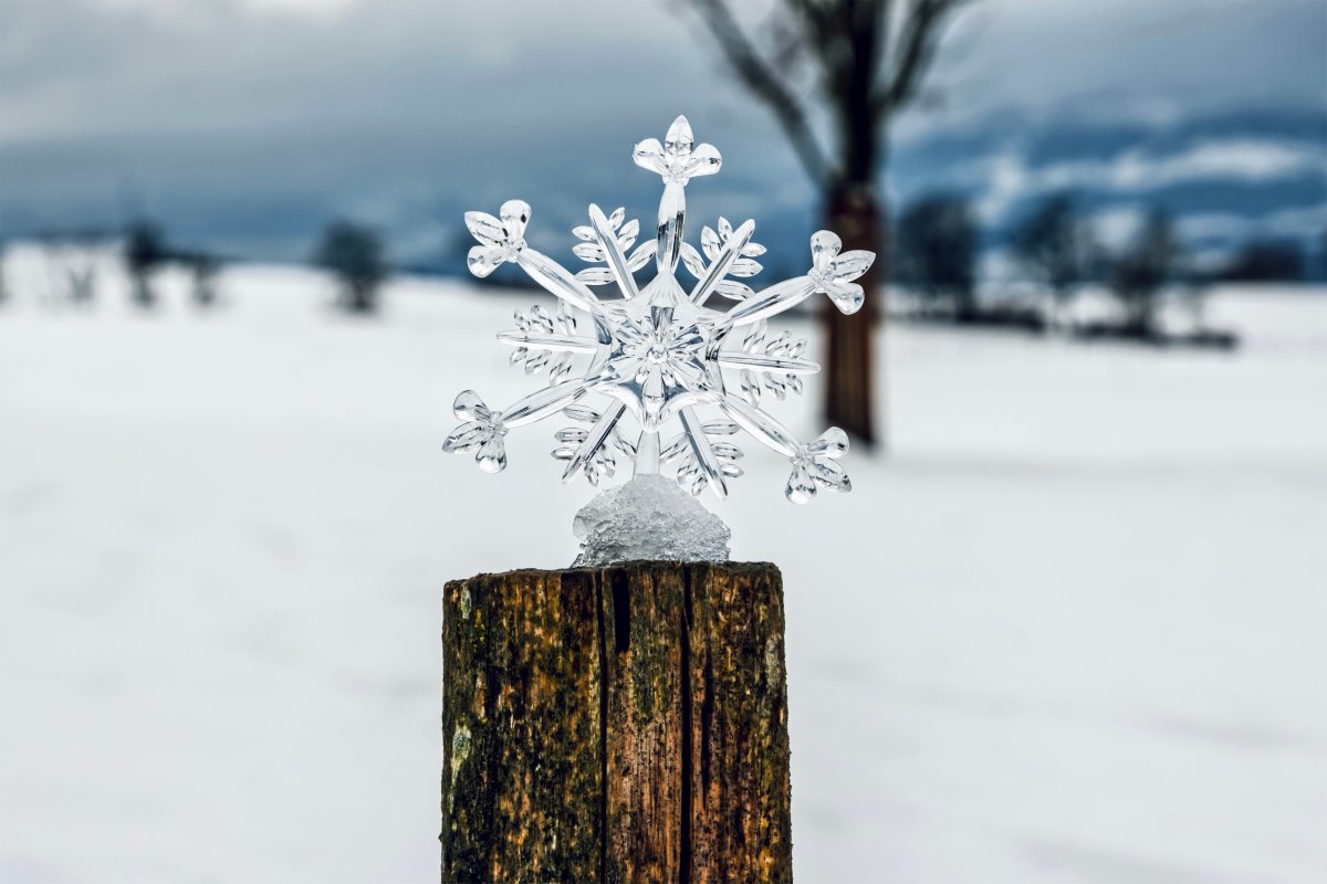 唯美冬季雪花晶片图片,高清图片