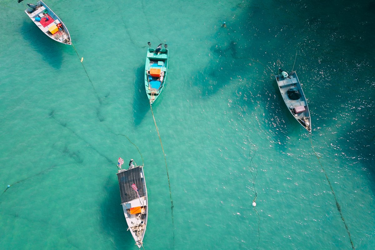 海里的船只图片
