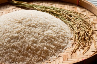 水稻大米图片