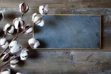 新疆棉花和小黑板背景图片