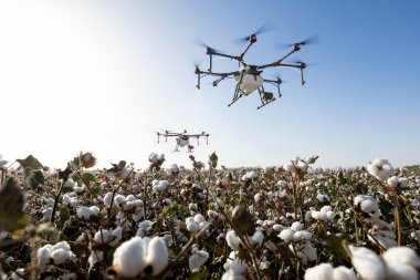 无人飞机航拍新疆棉花图片