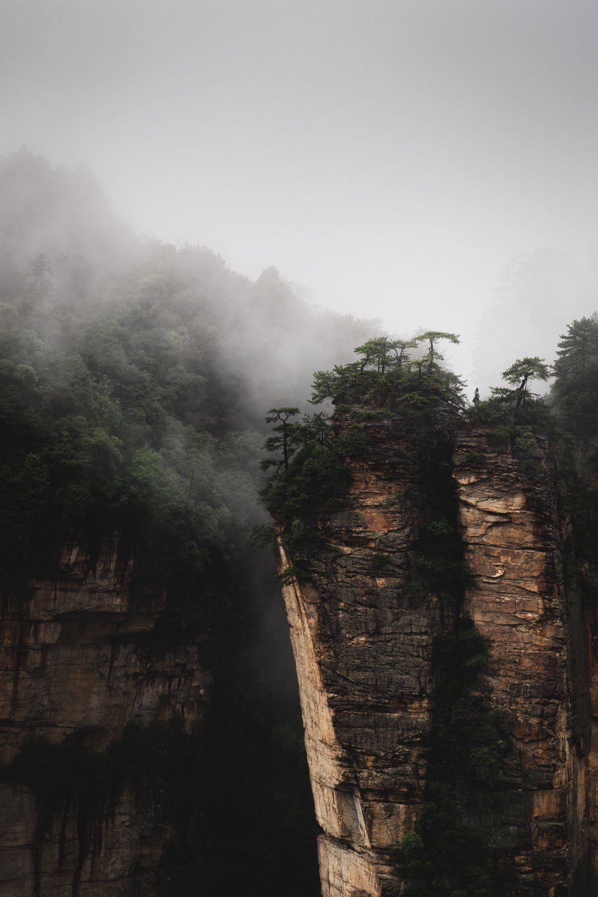 高山云雾图片