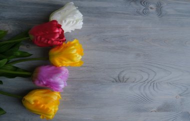 郁金香花蕊特写图片 高清图片