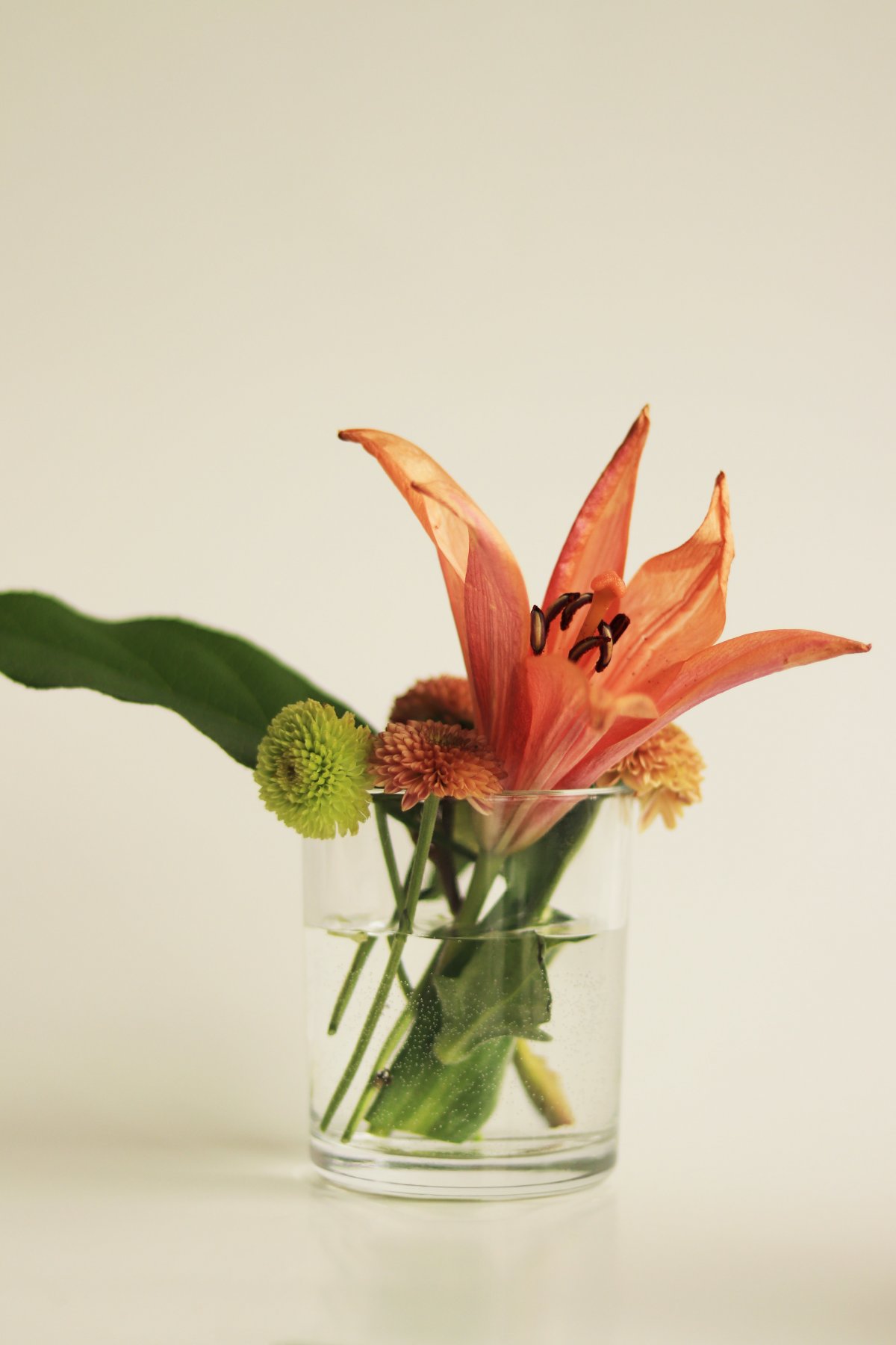 玻璃杯百合花图片