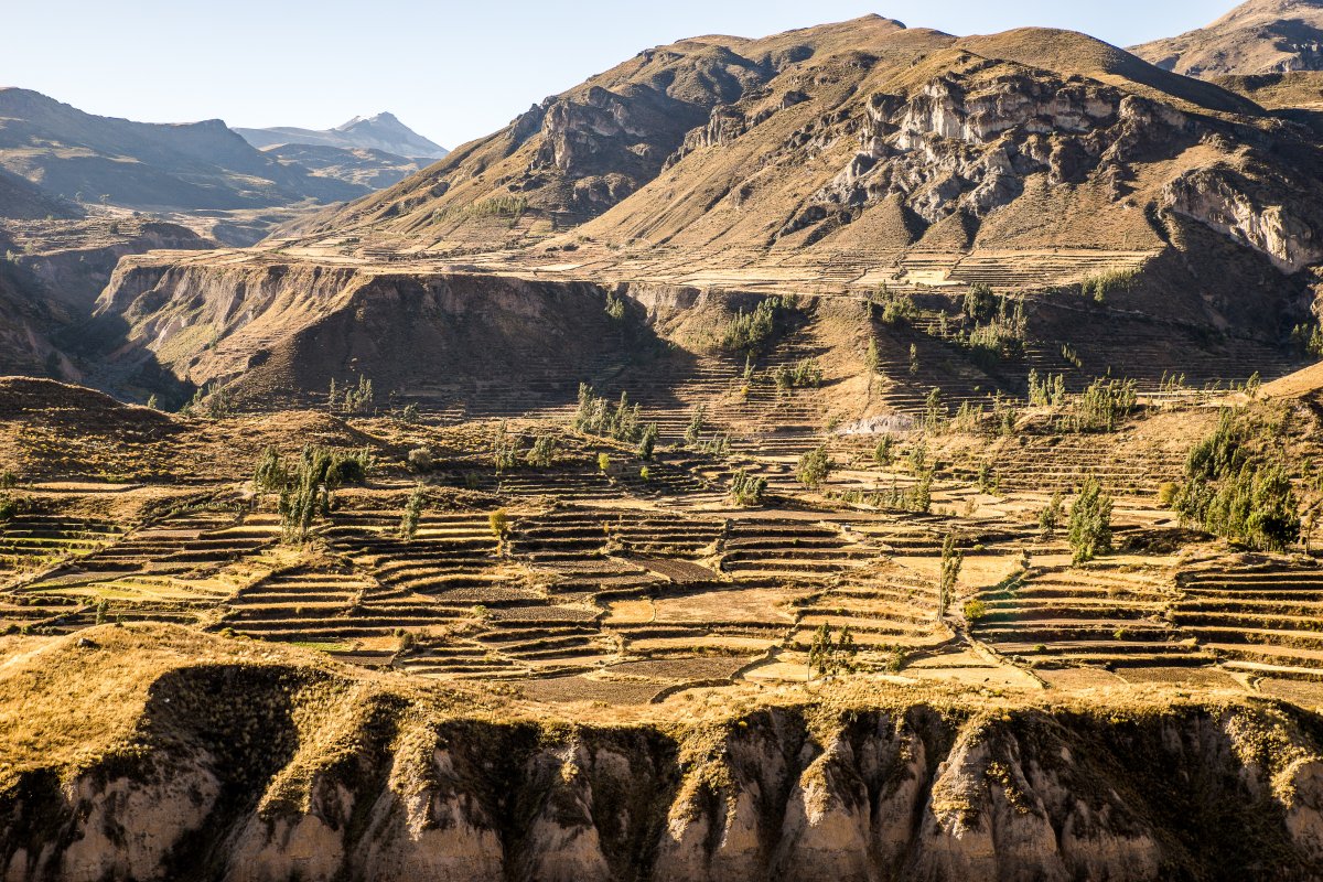 层层叠叠的梯田图片