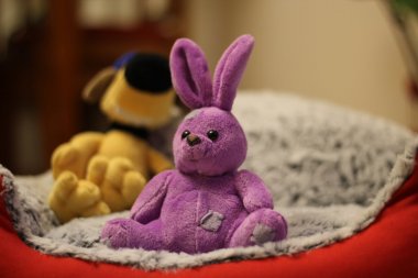 可爱的兔子玩偶和摆件图片