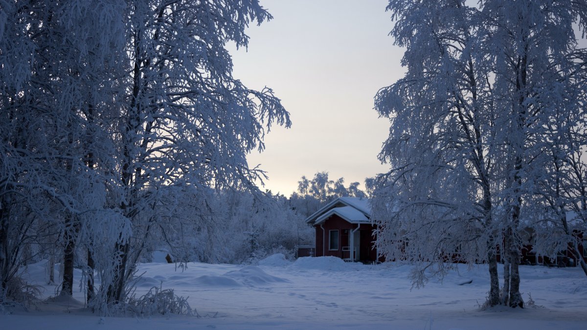 冰雪景色图片