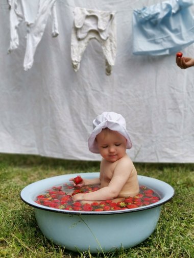 盆里的草莓婴儿图片